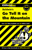 Title details for CliffsNotes on Baldwin's Go Tell It on the Mountain by Sherry Ann McNett - Available